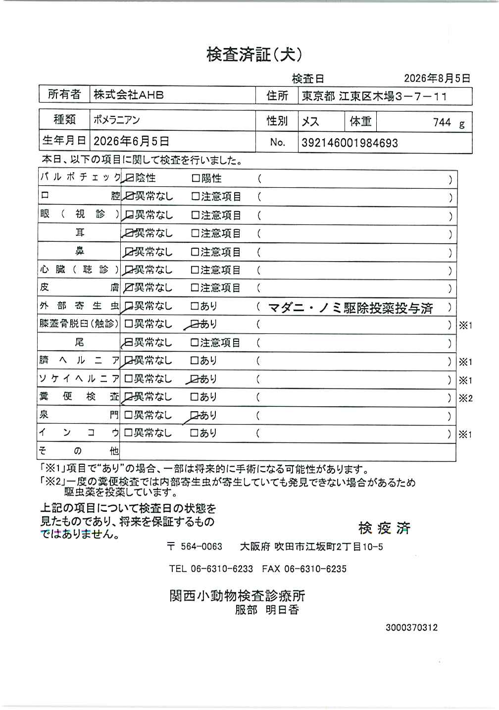 ポメラニアン