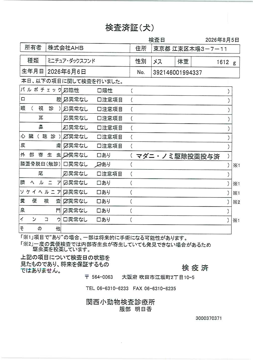 ミニチュア・ダックスフンド