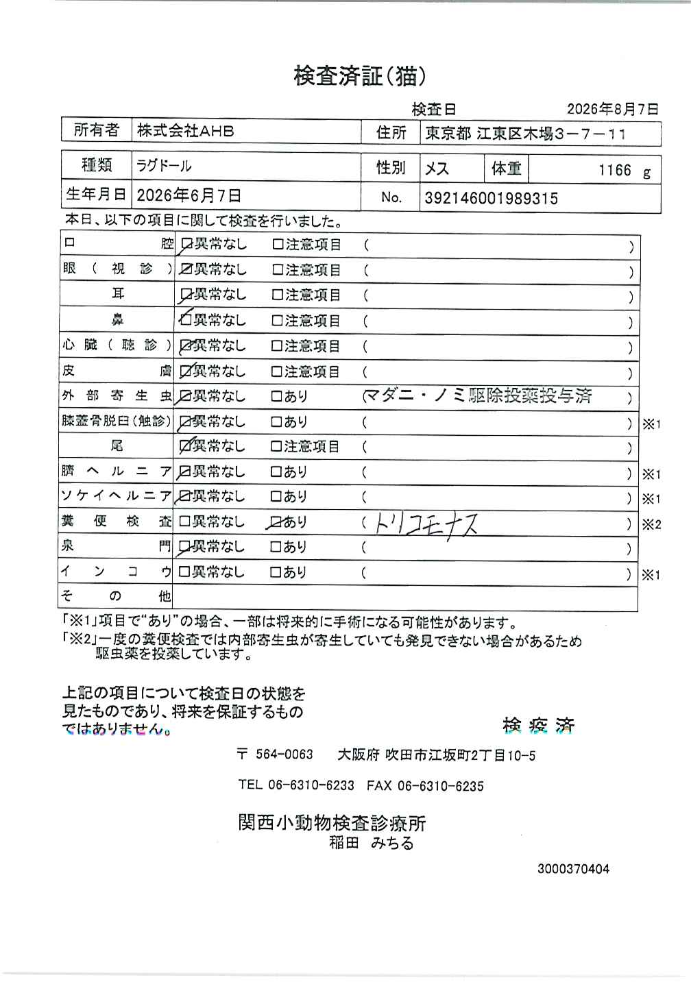 ラグドール