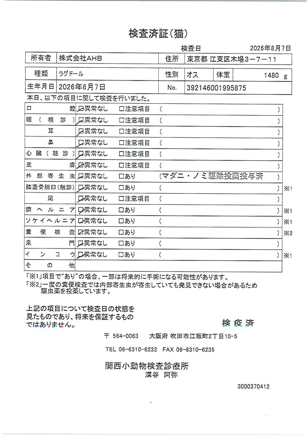 ラグドール
