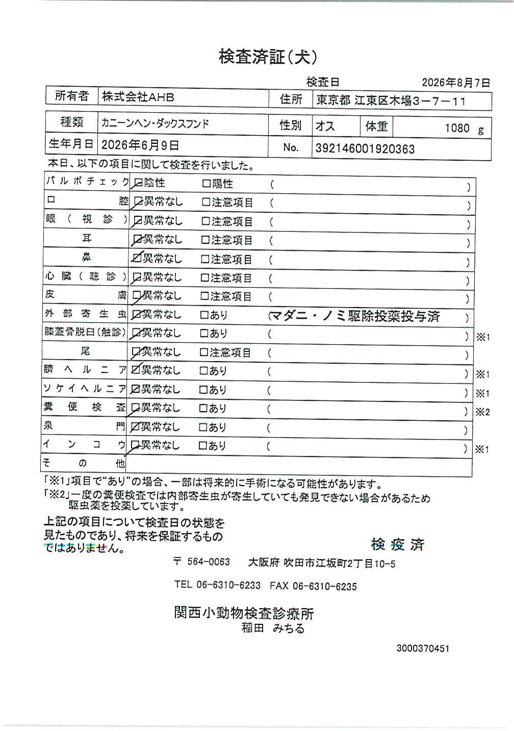 カニーンヘン・ダックスフンド