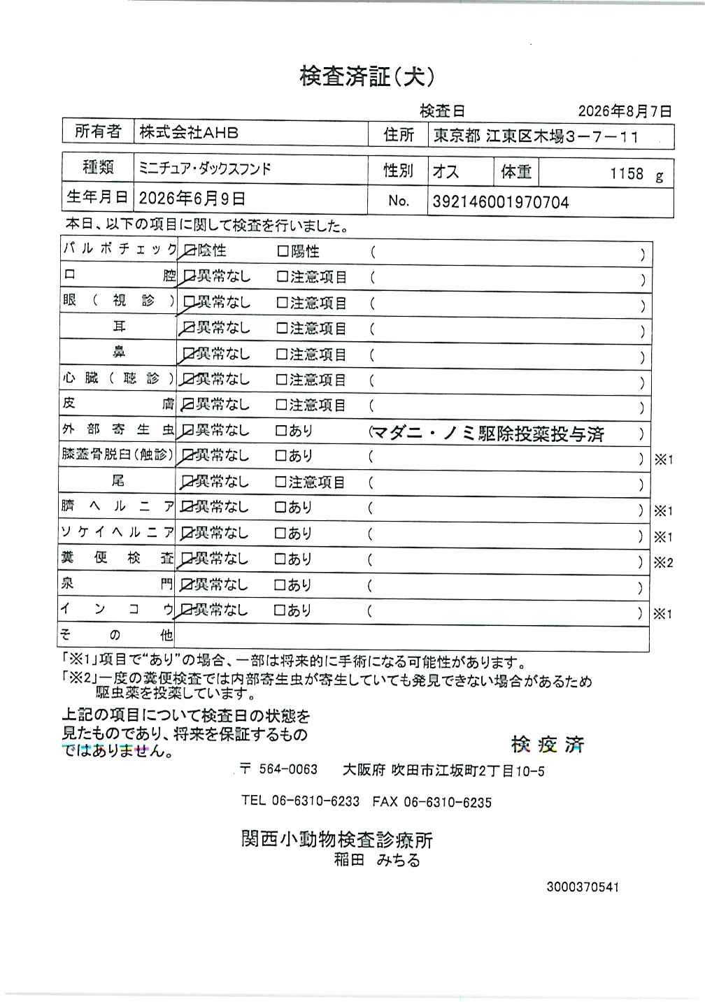 ミニチュア・ダックスフンド