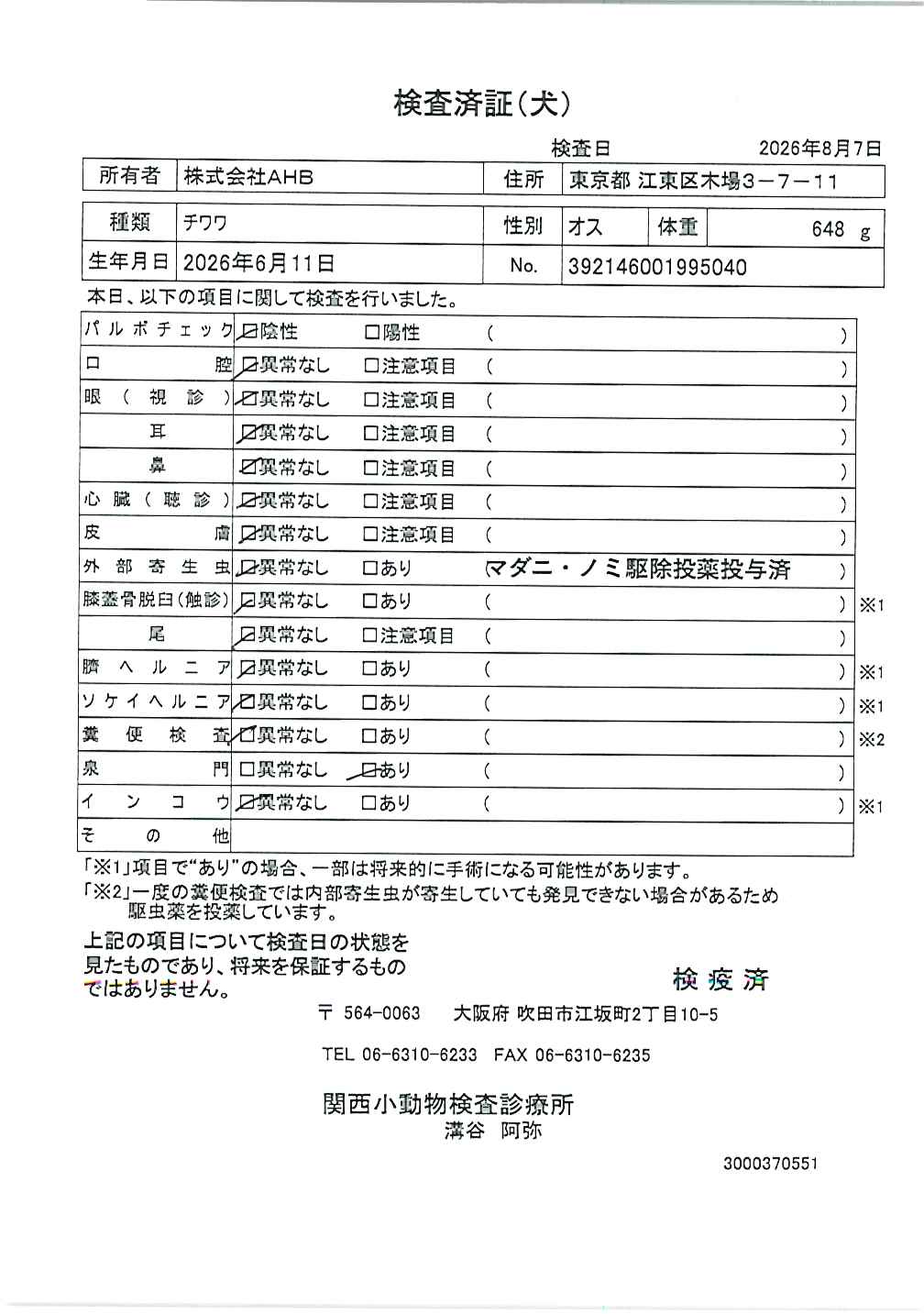チワワ
