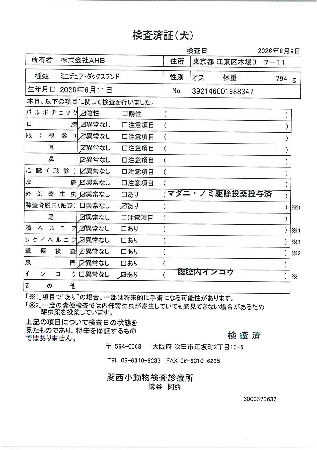 ミニチュア・ダックスフンド