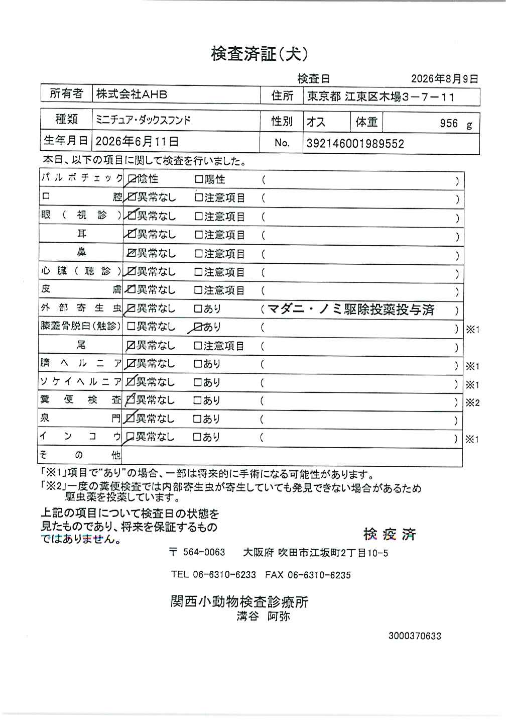 ミニチュア・ダックスフンド