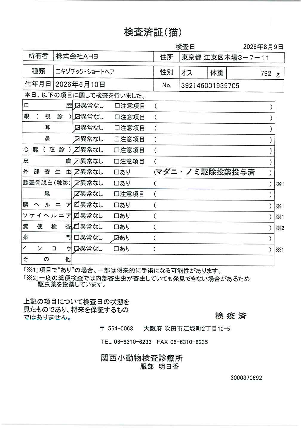 エキゾチック・ショートヘア