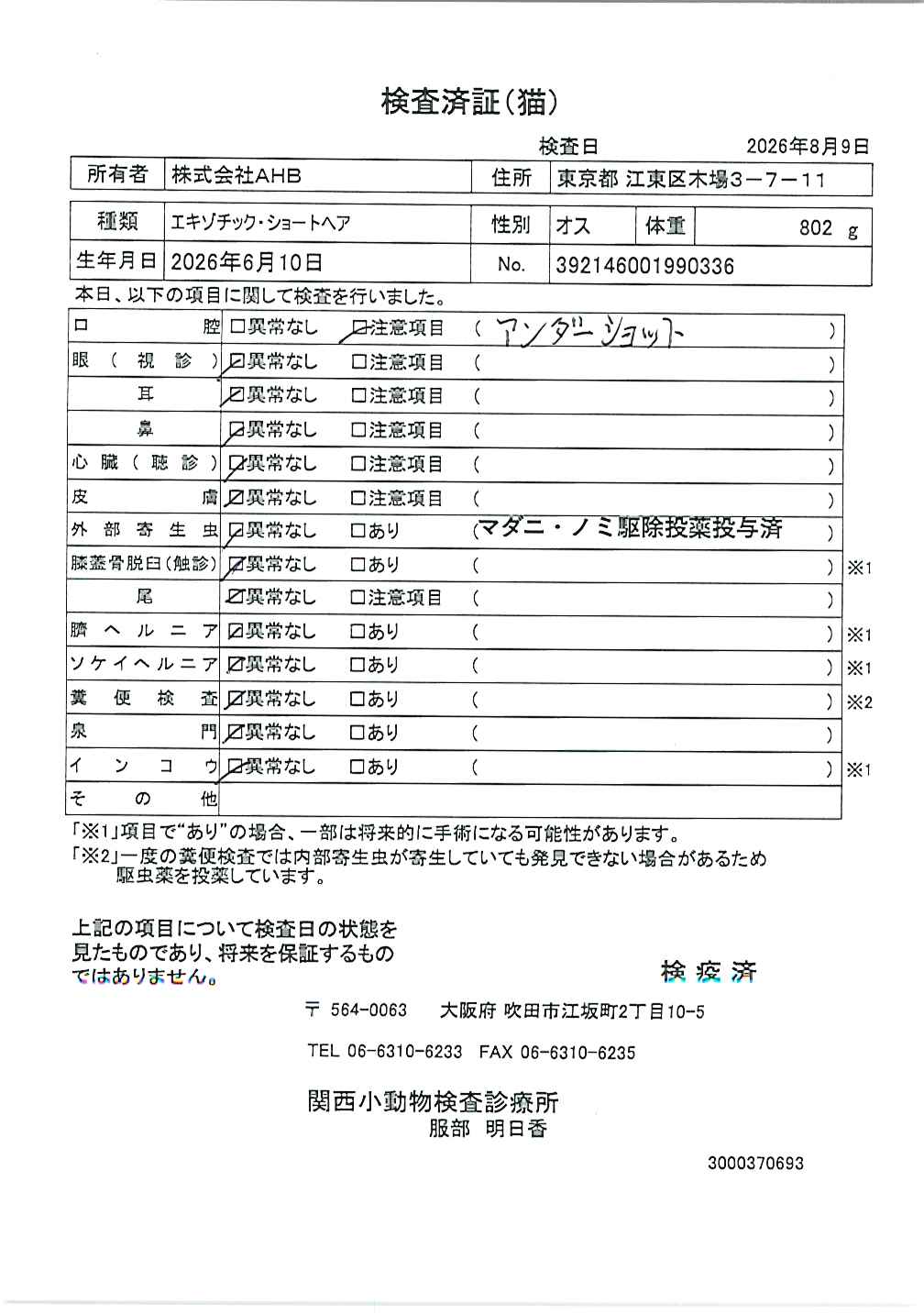 エキゾチック・ショートヘア