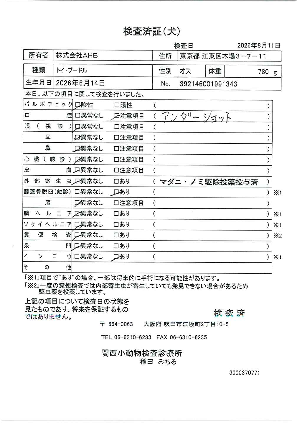 トイ・プードル