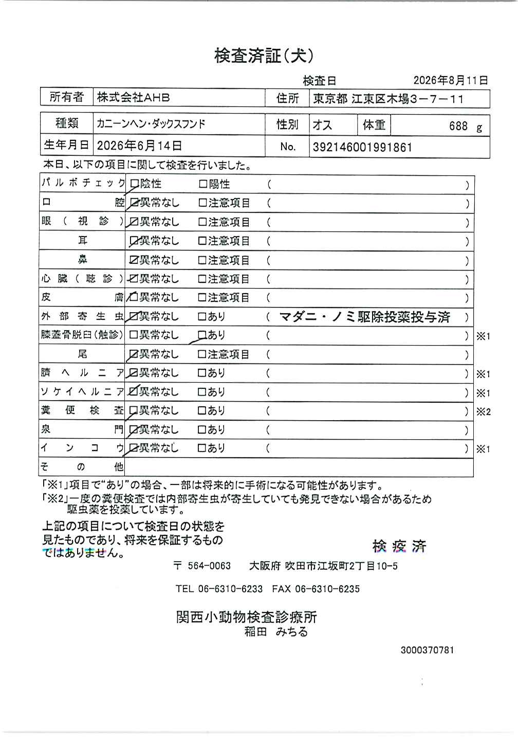 カニーンヘン・ダックスフンド