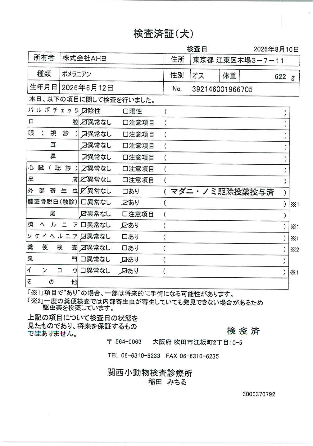 ポメラニアン