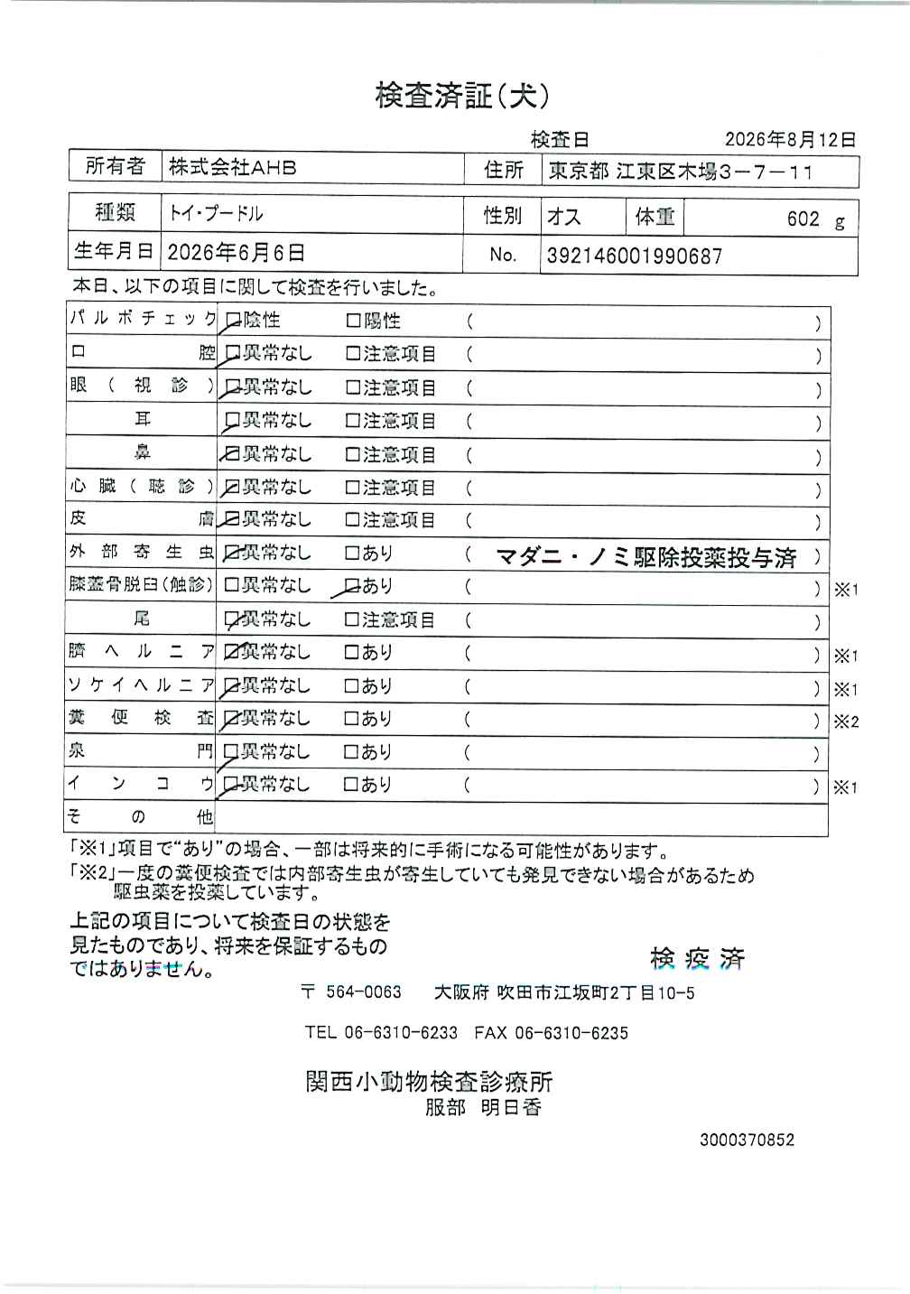 トイ・プードル