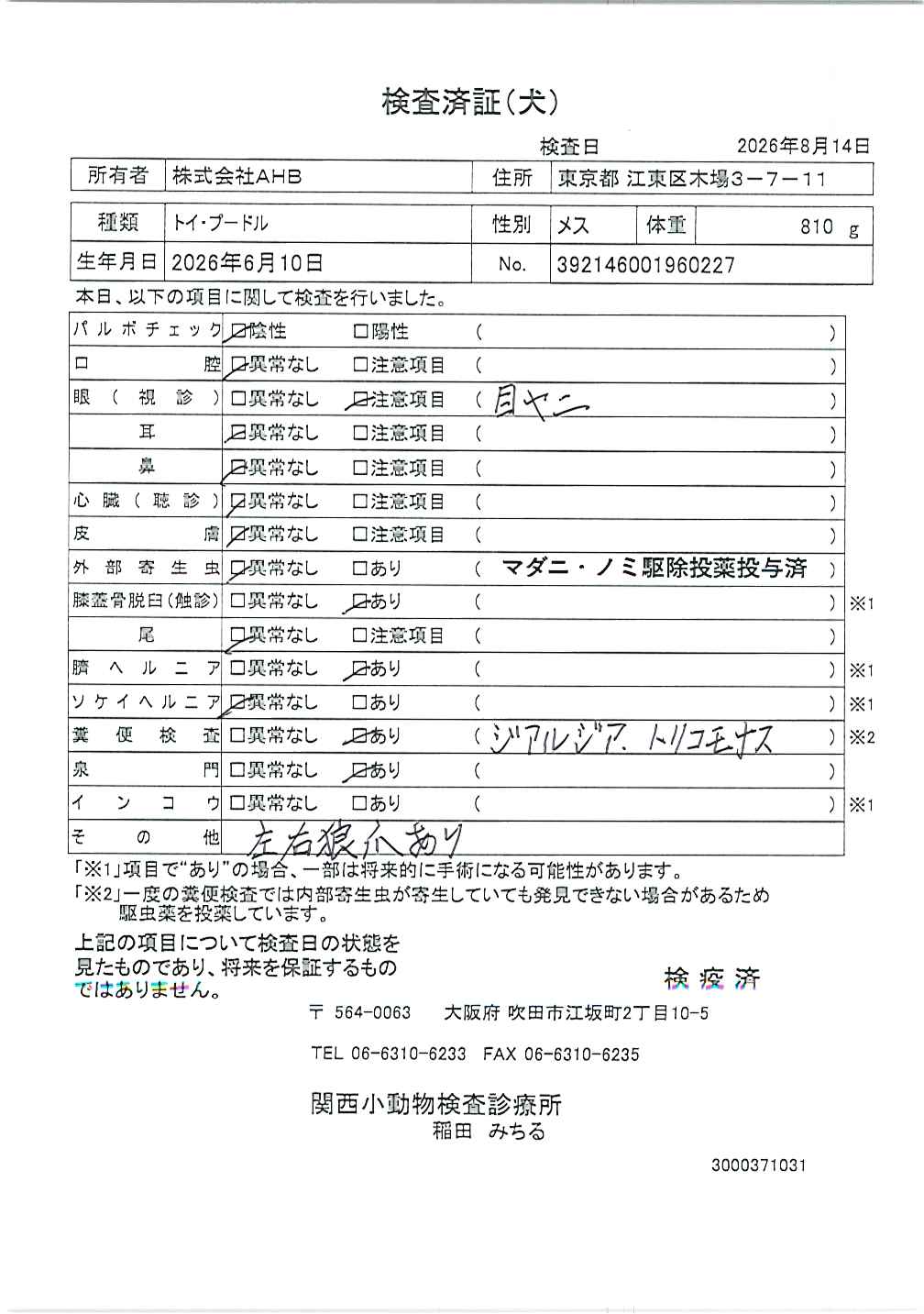 トイ・プードル
