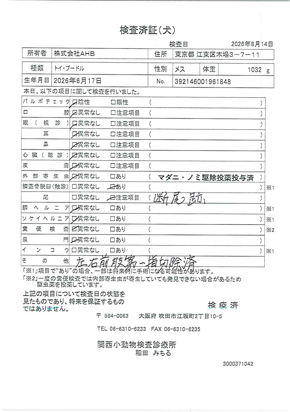 トイ・プードル