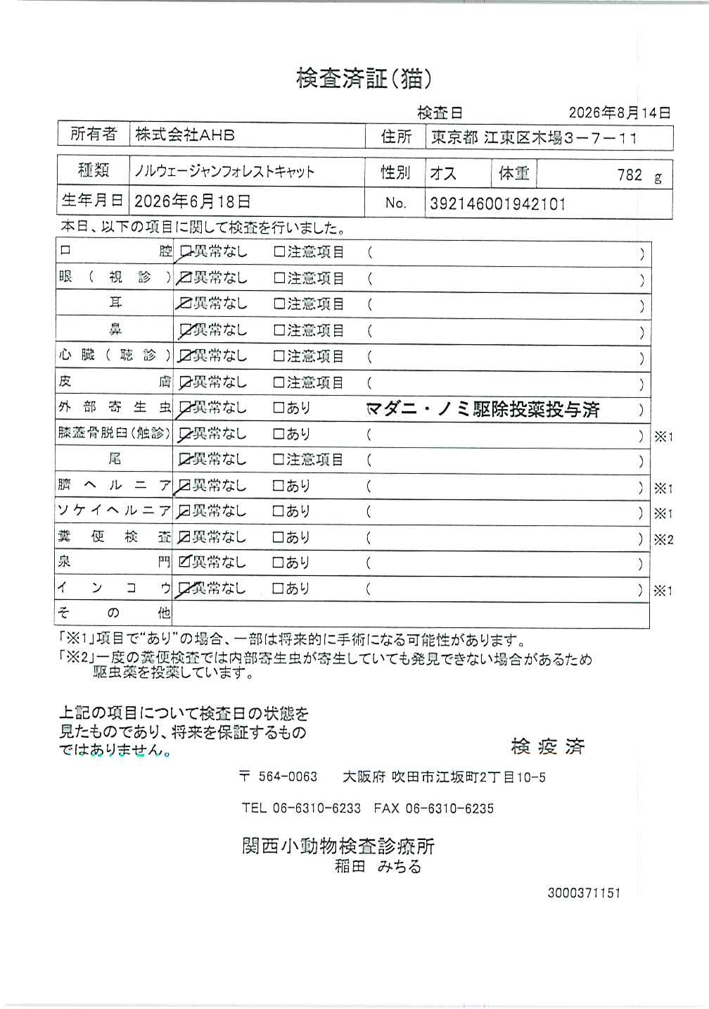 ノルウェージャンフォレストキャット