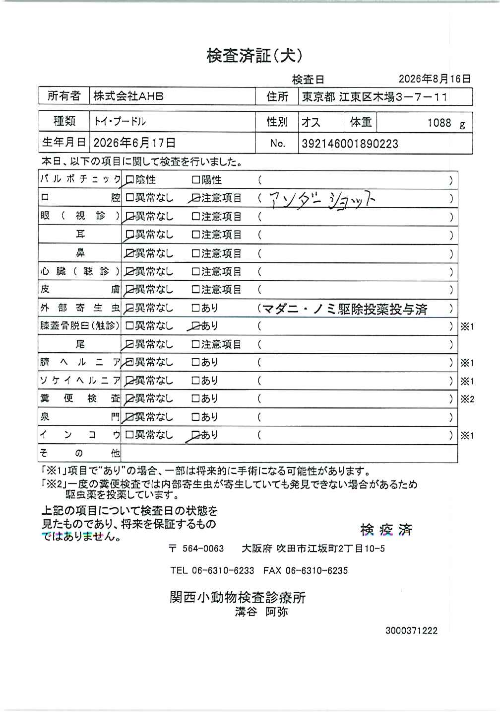 トイ・プードル