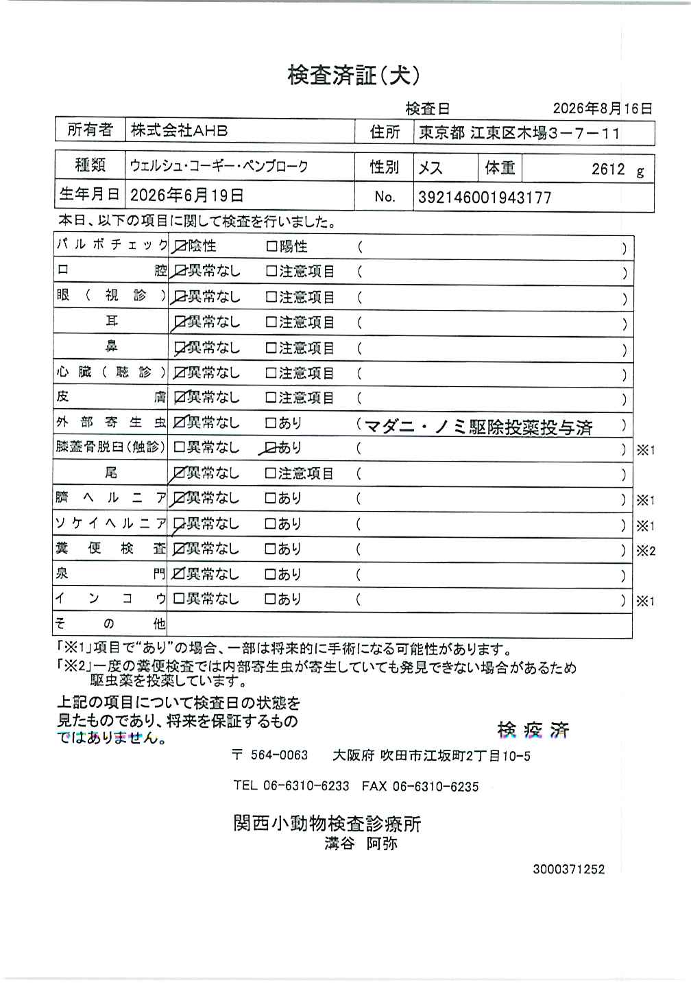 ウェルシュ・コーギー・ペンブローク