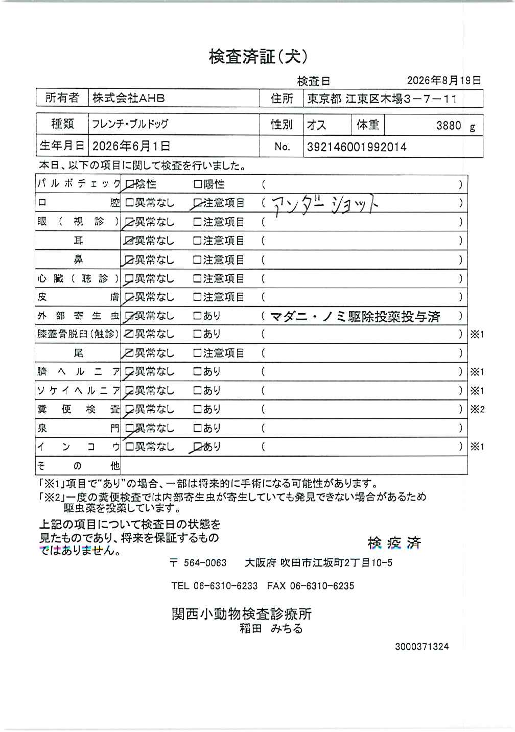 フレンチ・ブルドッグ