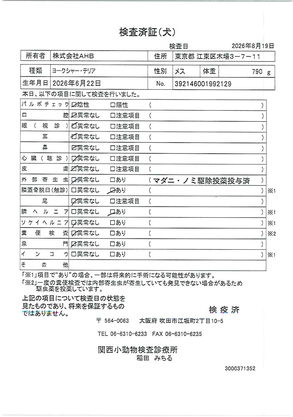 ヨークシャー・テリア