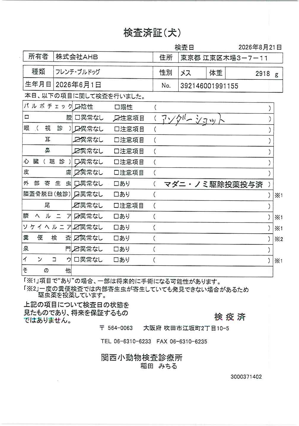 フレンチ・ブルドッグ