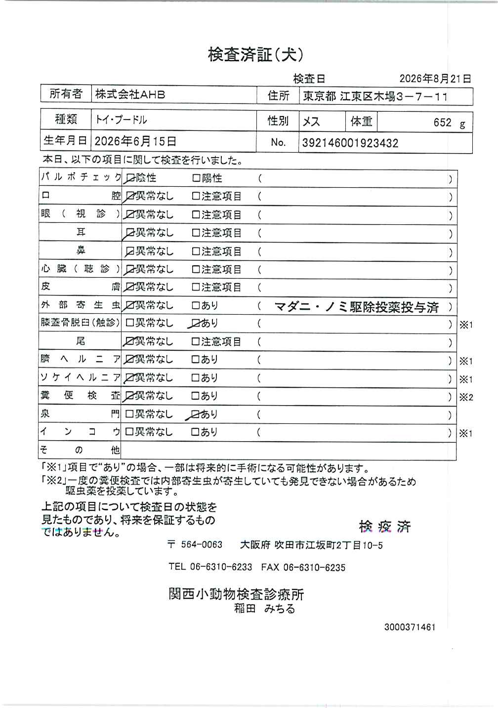 トイ・プードル