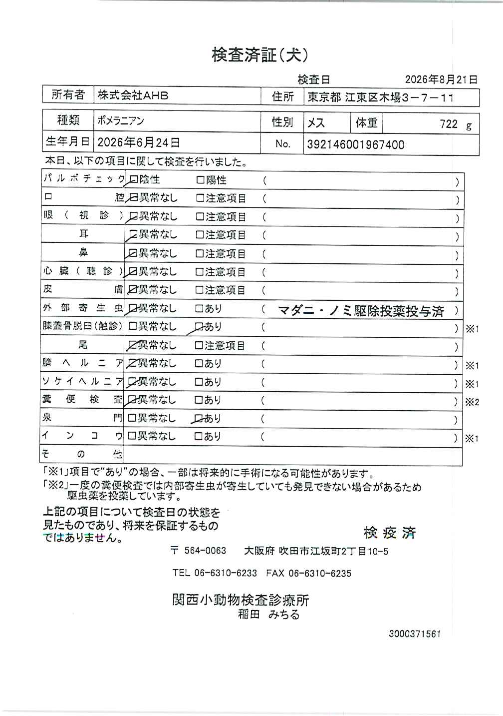 ポメラニアン