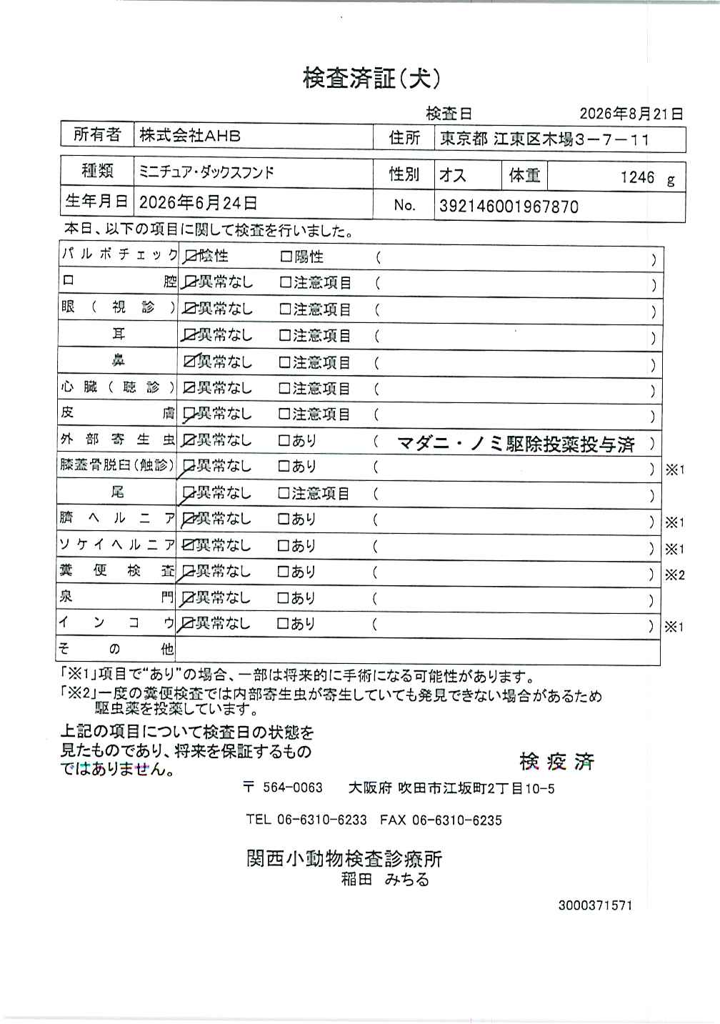 ミニチュア・ダックスフンド
