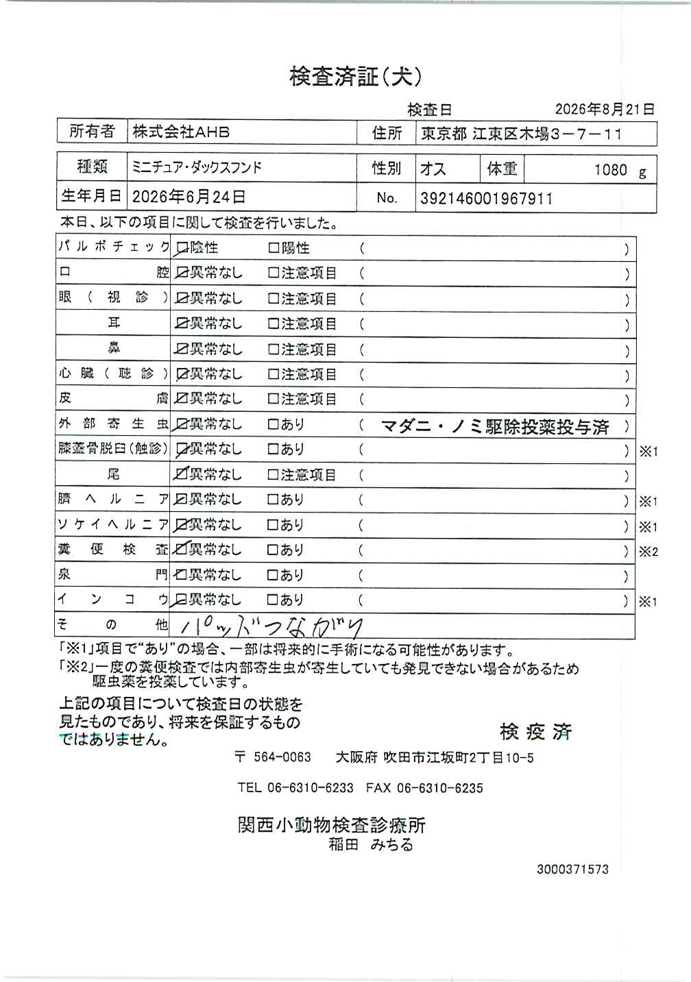 ミニチュア・ダックスフンド
