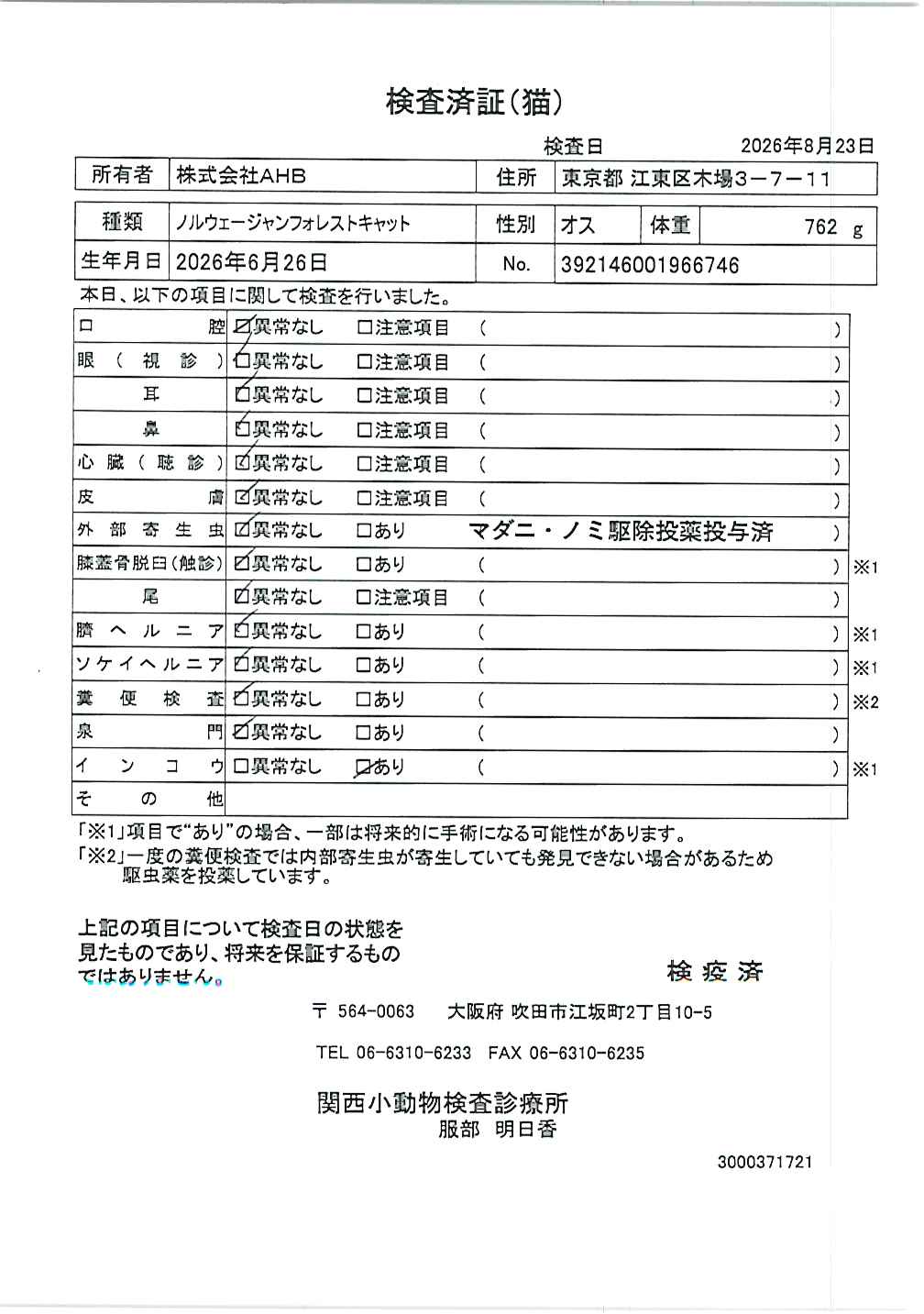 ノルウェージャンフォレストキャット