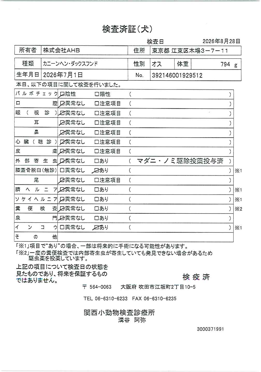カニーンヘン・ダックスフンド