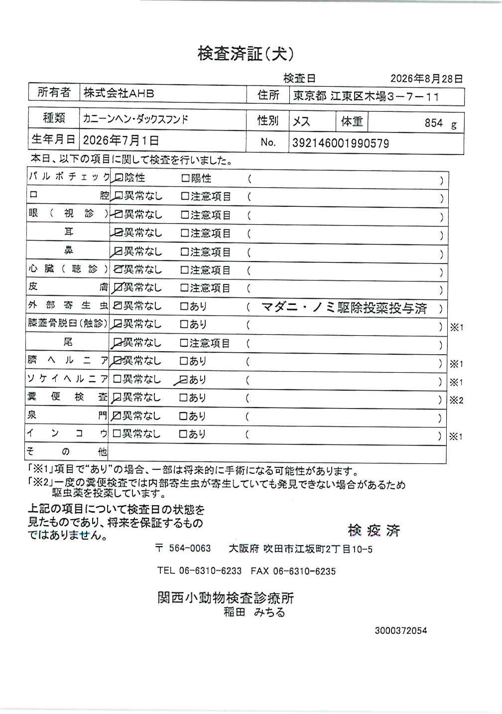 カニーンヘン・ダックスフンド