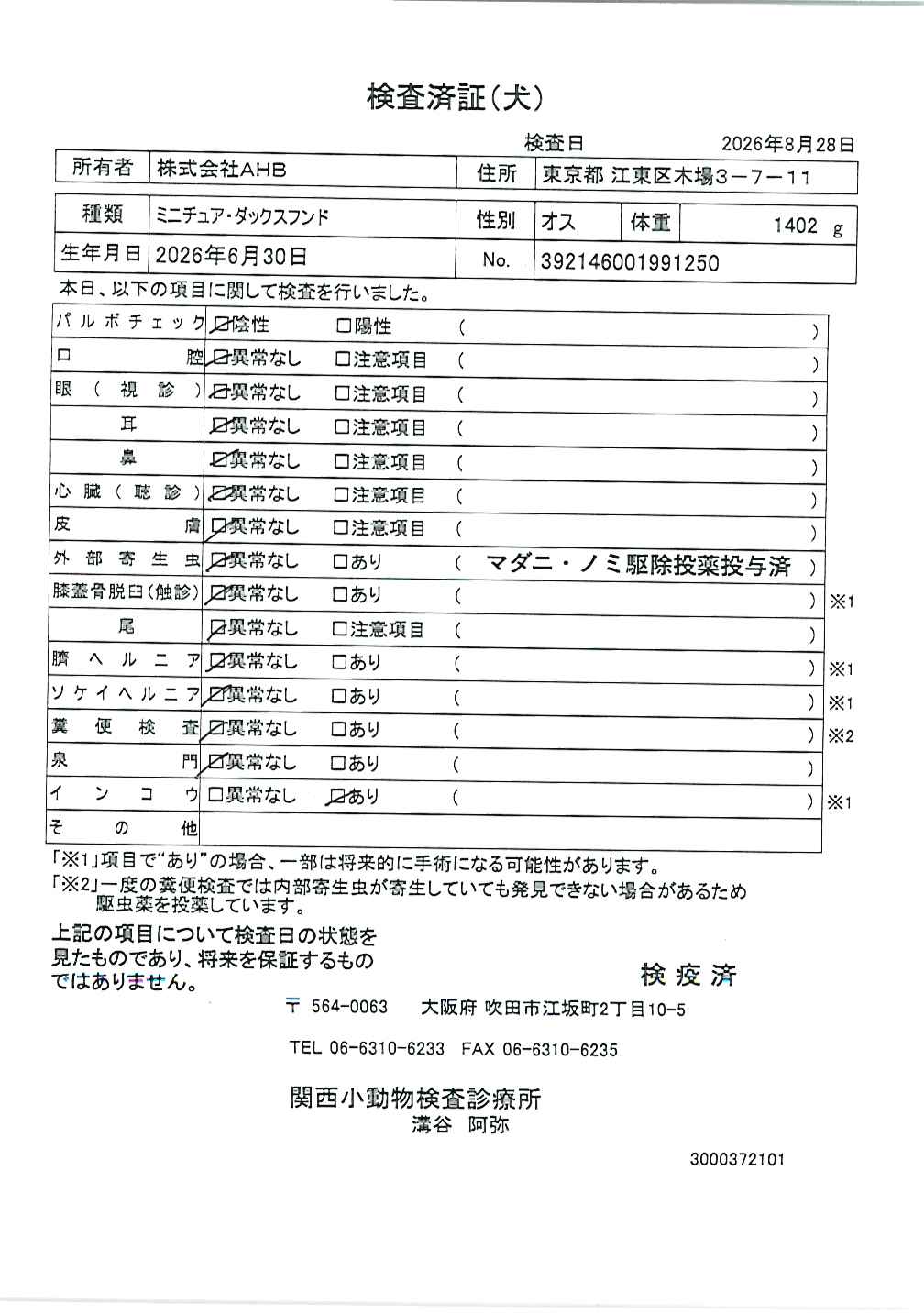 ミニチュア・ダックスフンド
