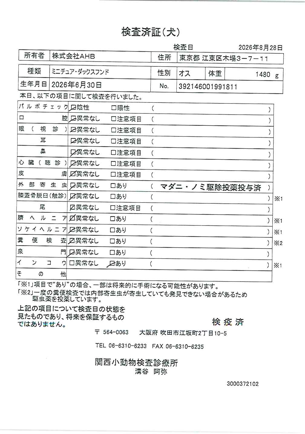 ミニチュア・ダックスフンド