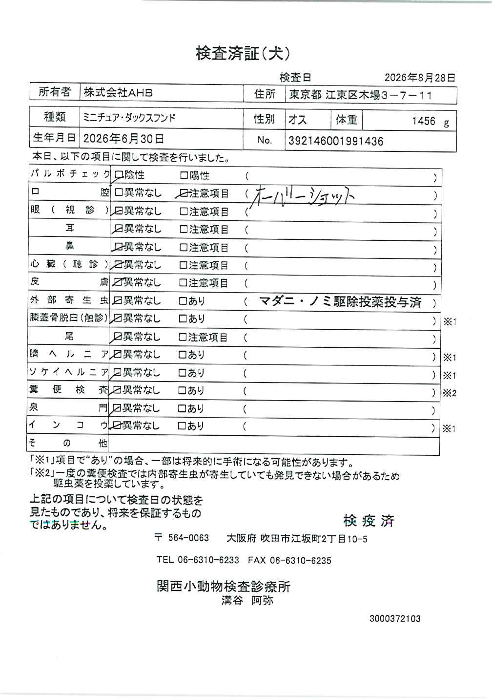 ミニチュア・ダックスフンド