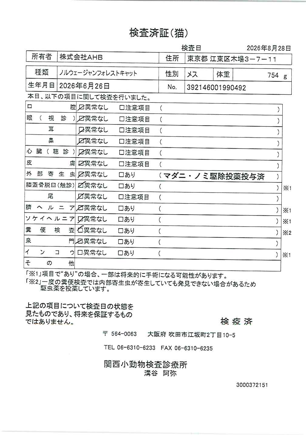 ノルウェージャンフォレストキャット