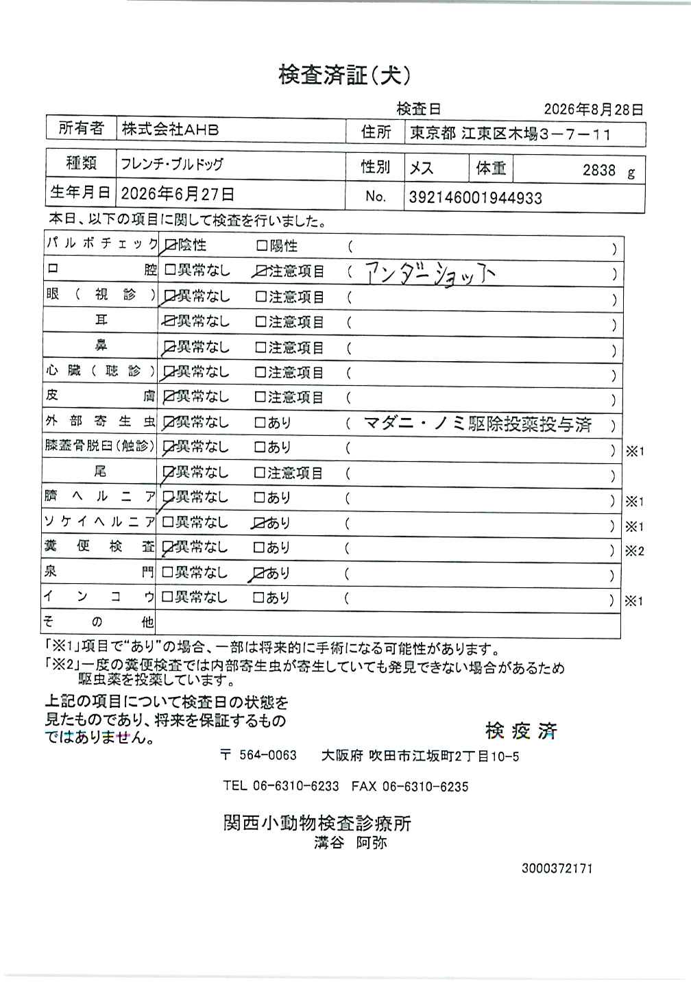フレンチ・ブルドッグ