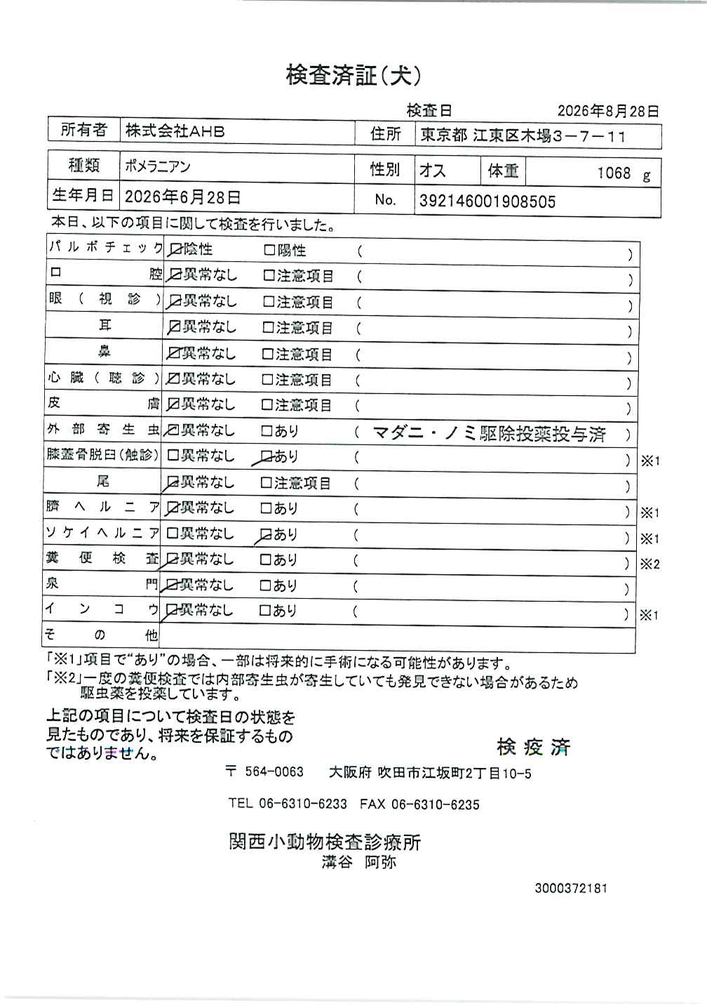 ポメラニアン