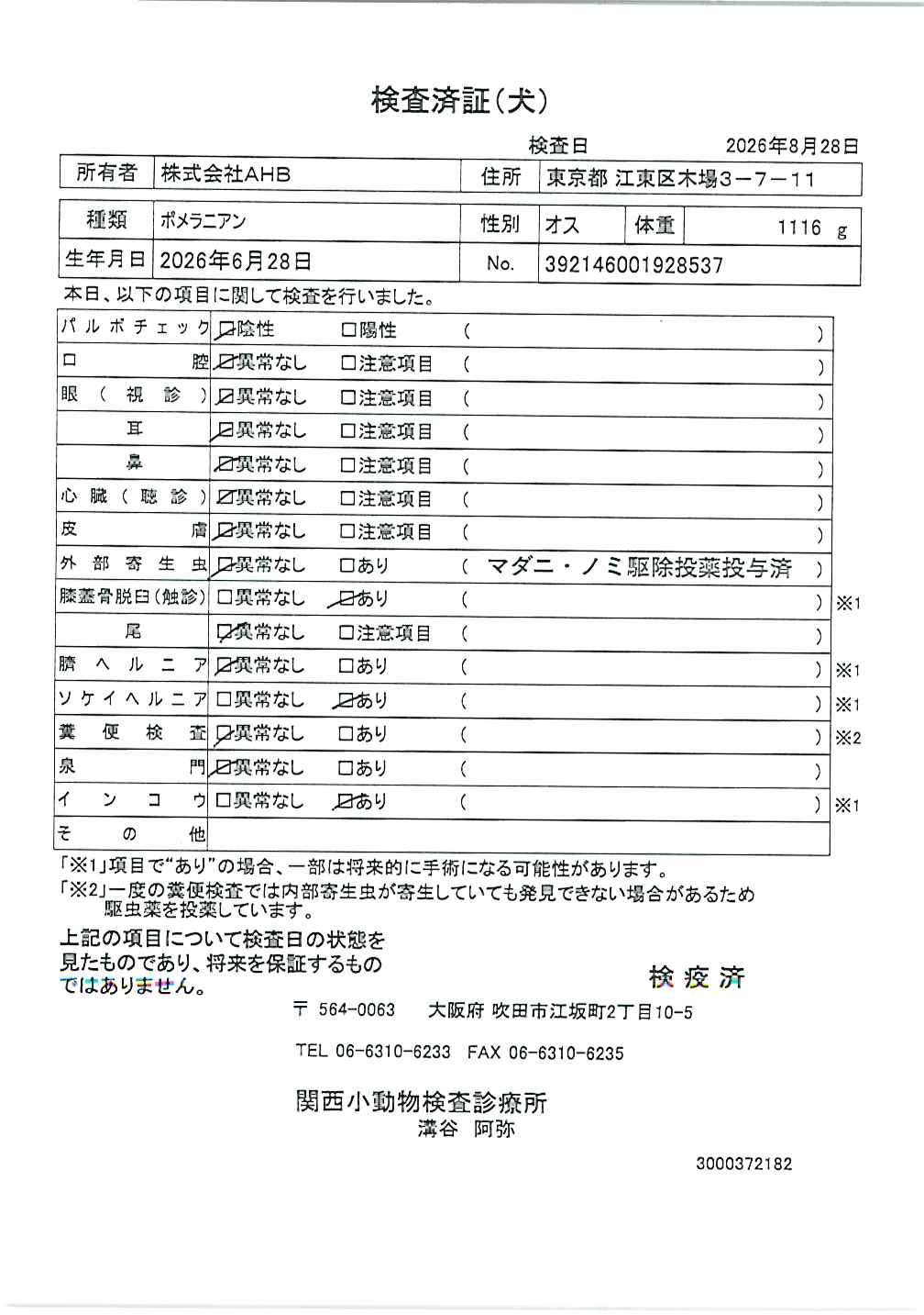 ポメラニアン