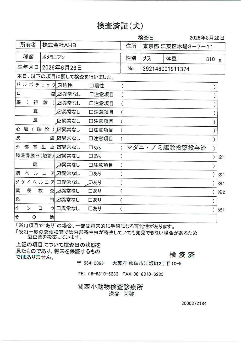 ポメラニアン