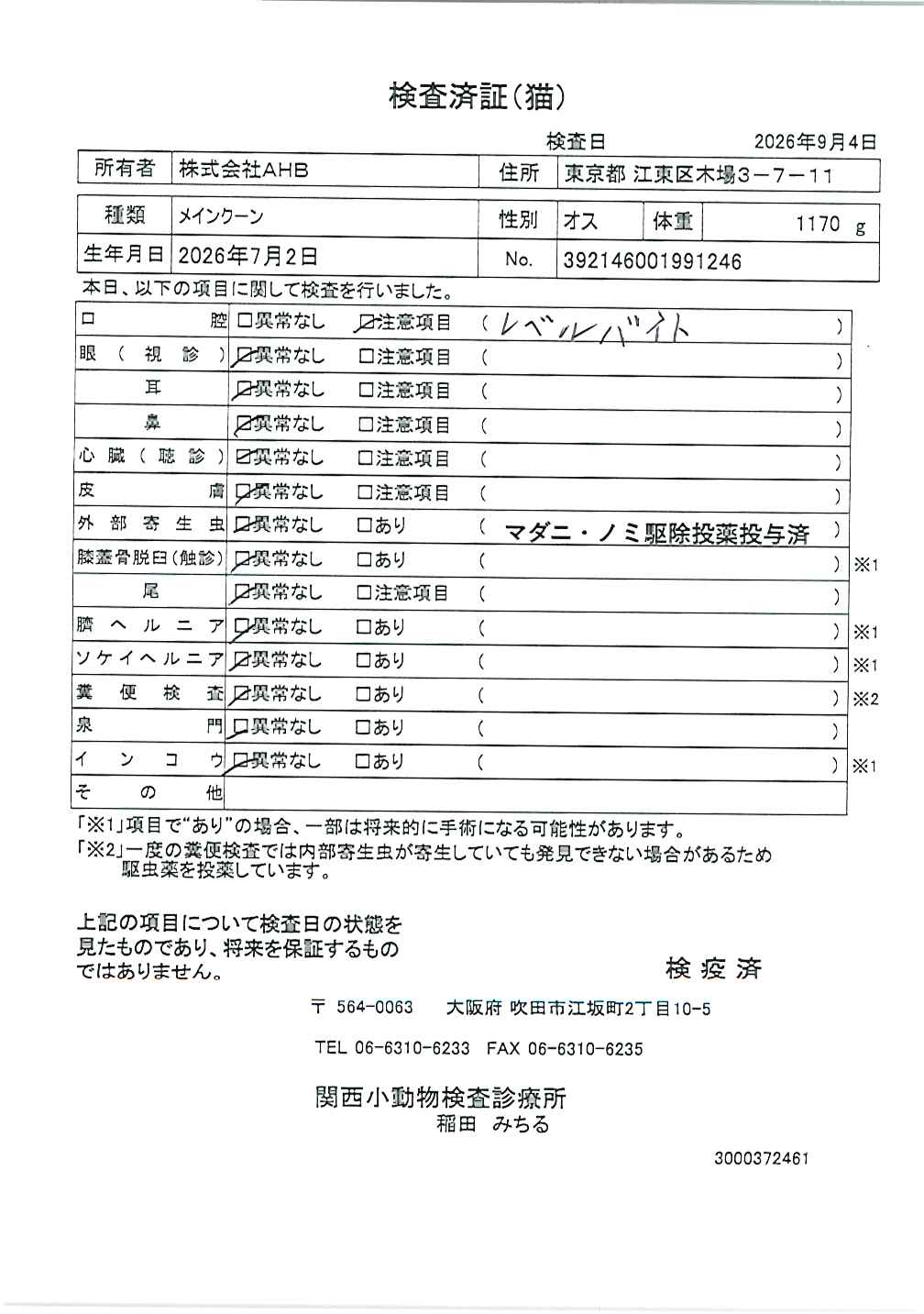 メインクーン
