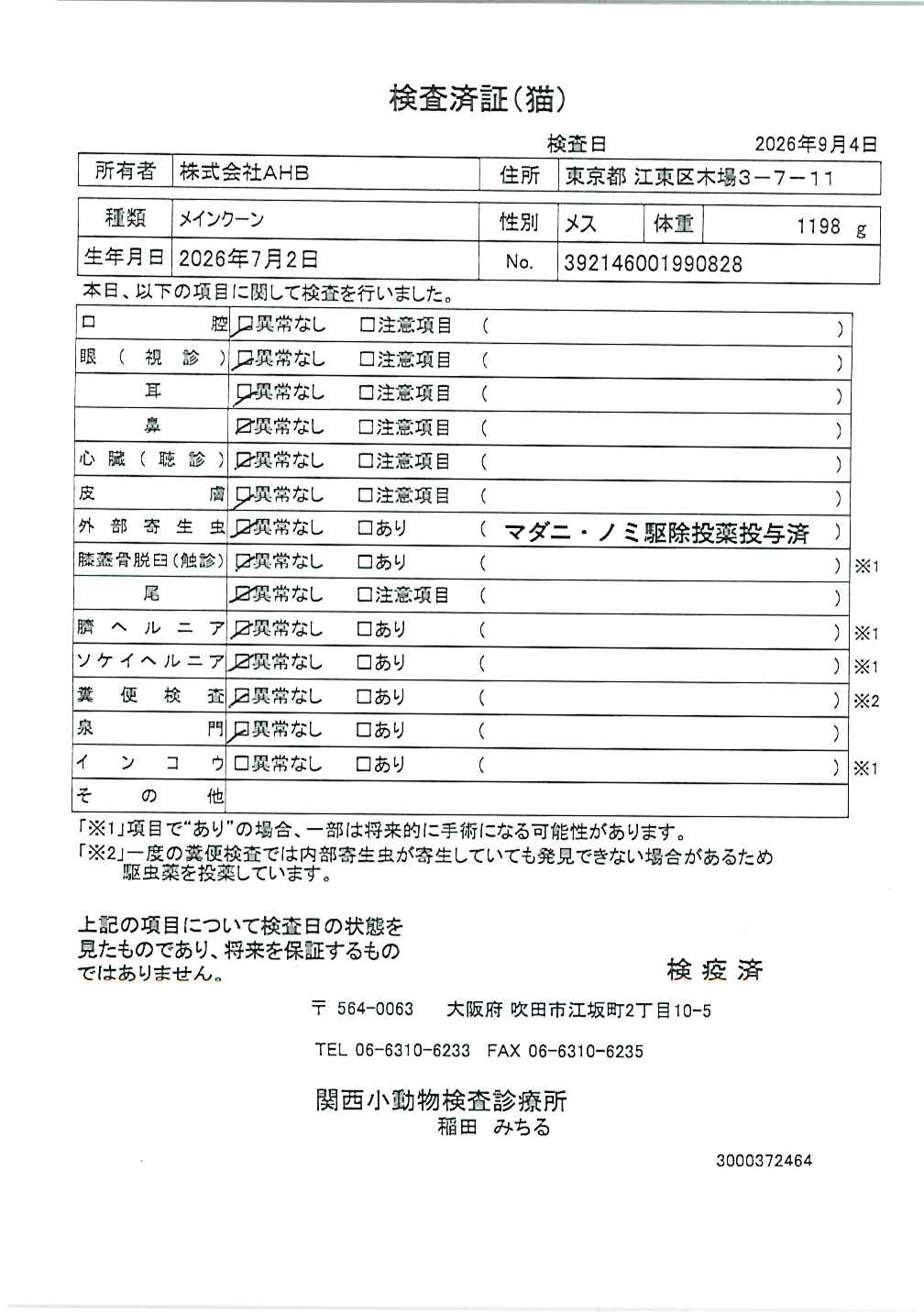 メインクーン