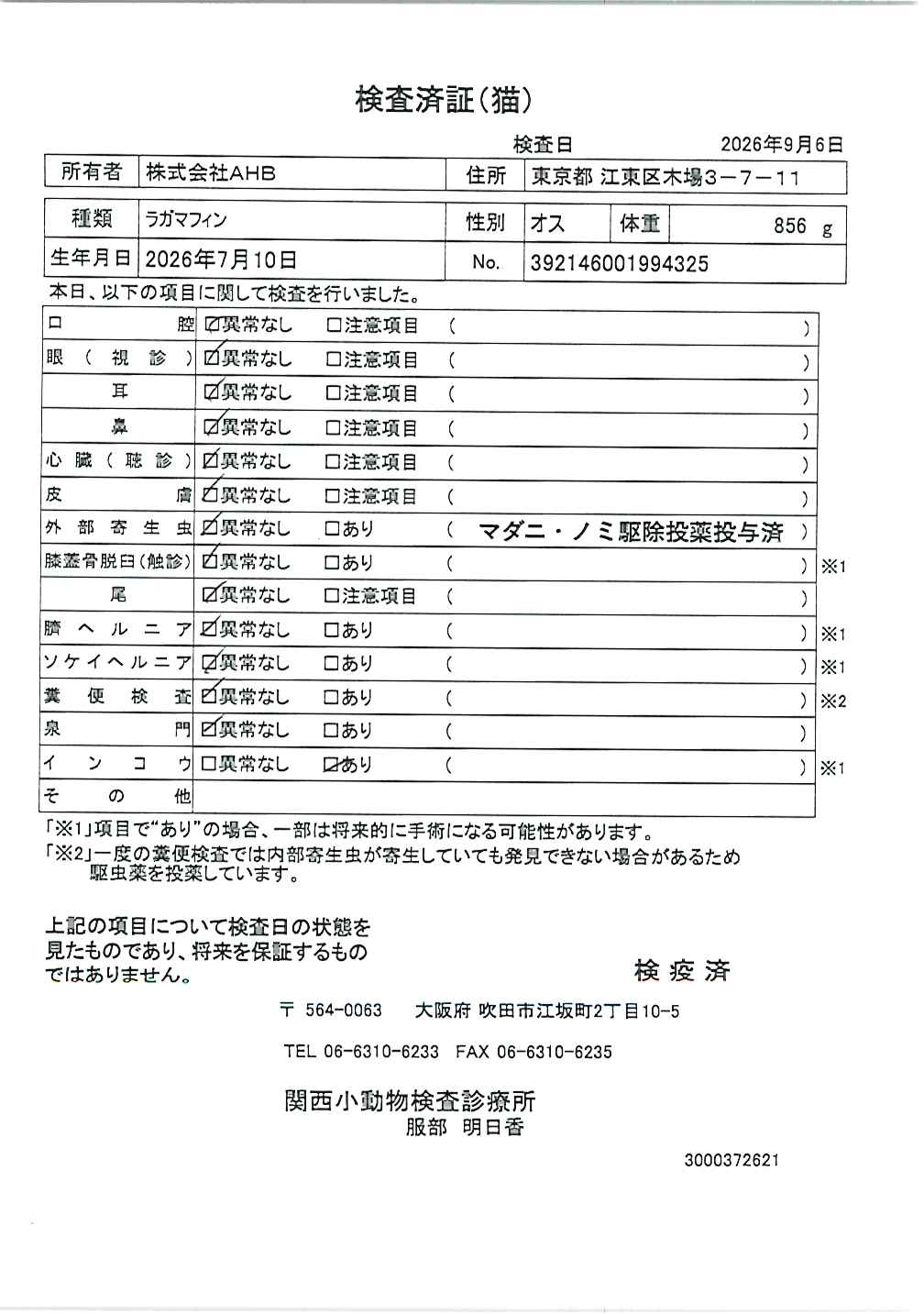 ラガマフィン