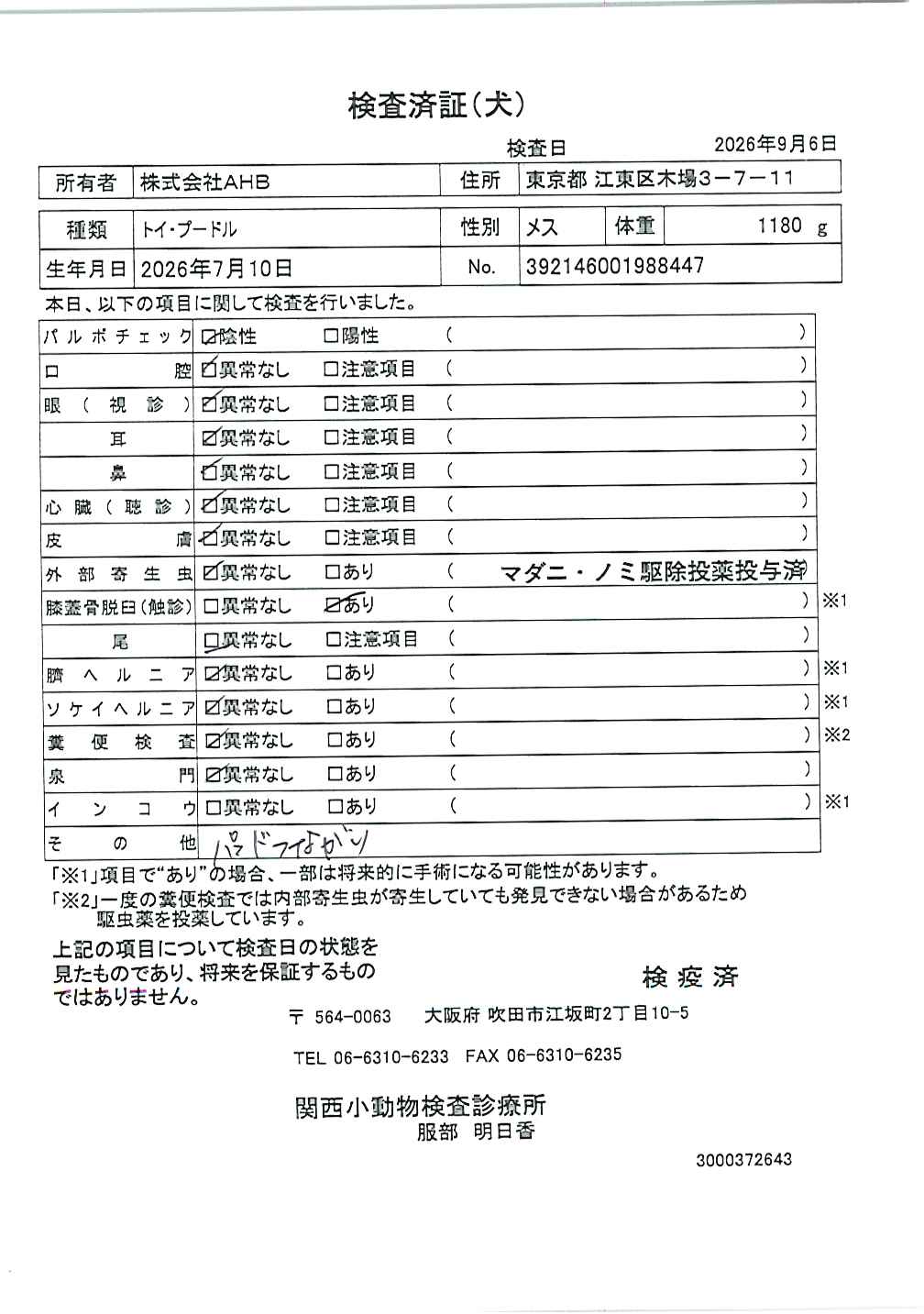 トイ・プードル