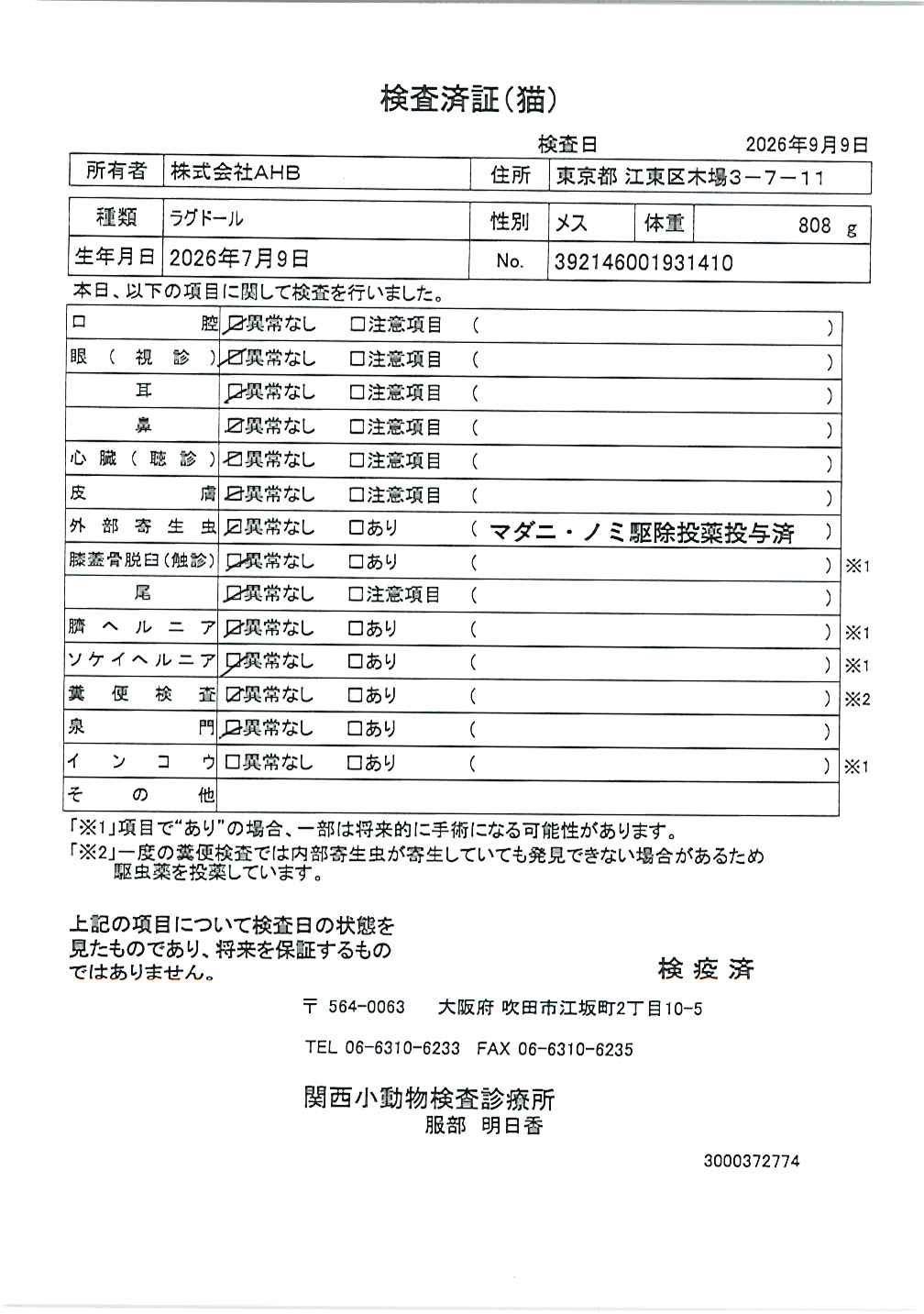 ラグドール