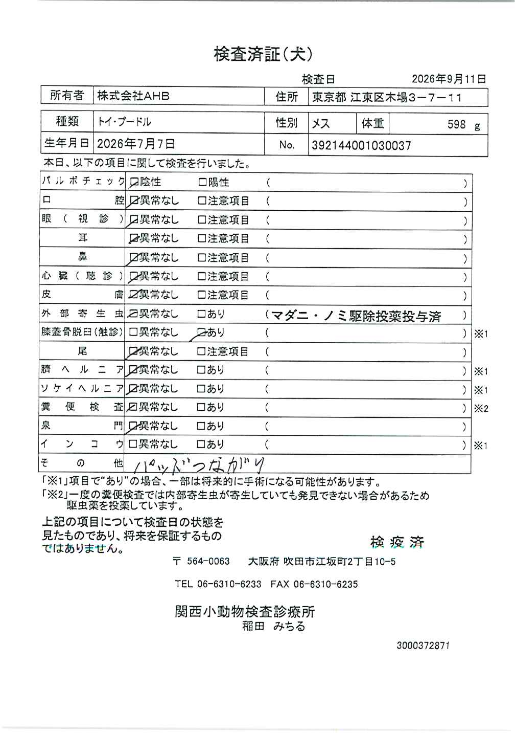トイ・プードル