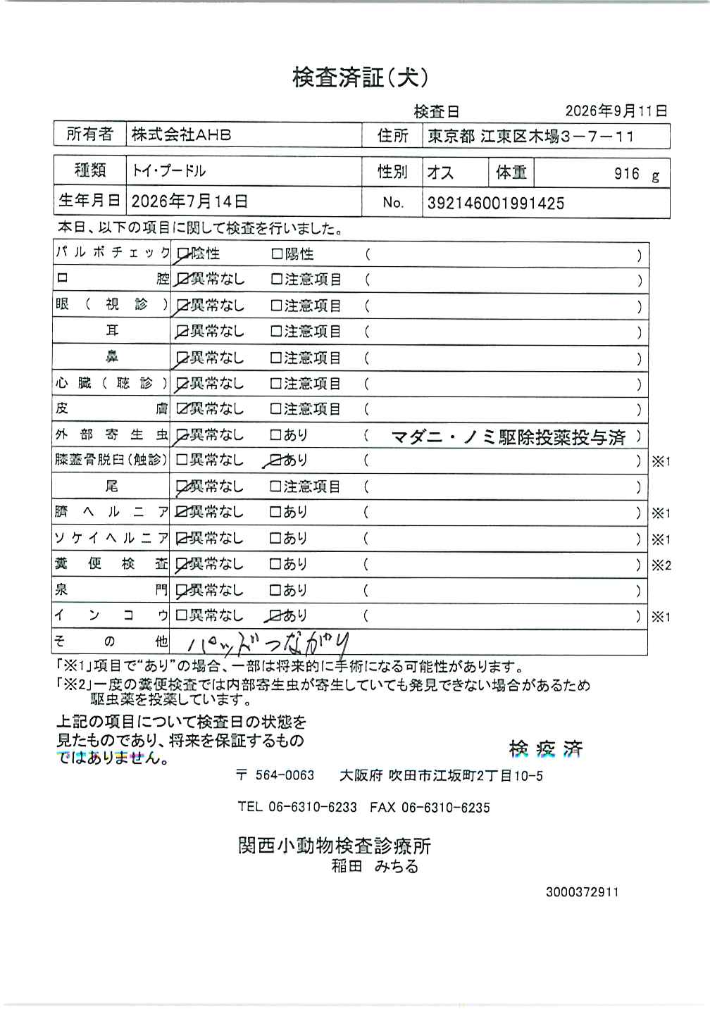 トイ・プードル