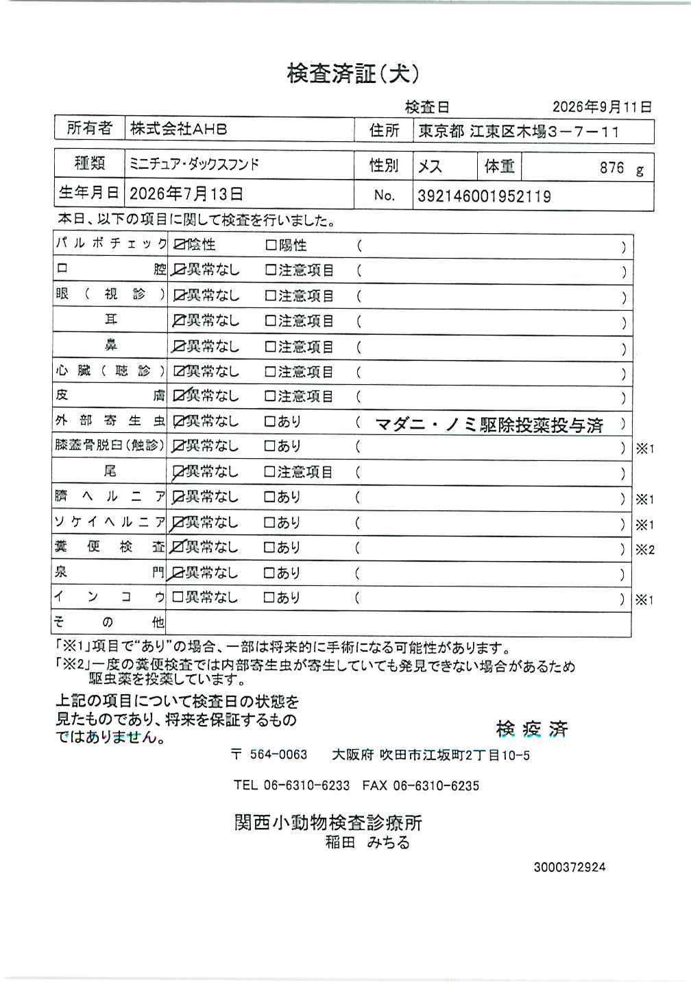 ミニチュア・ダックスフンド