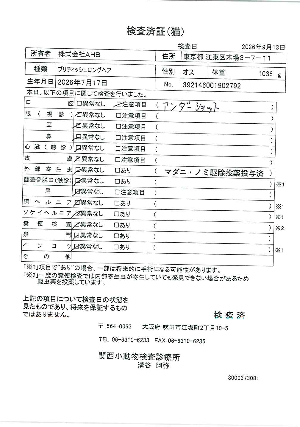 ブリティッシュロングヘア