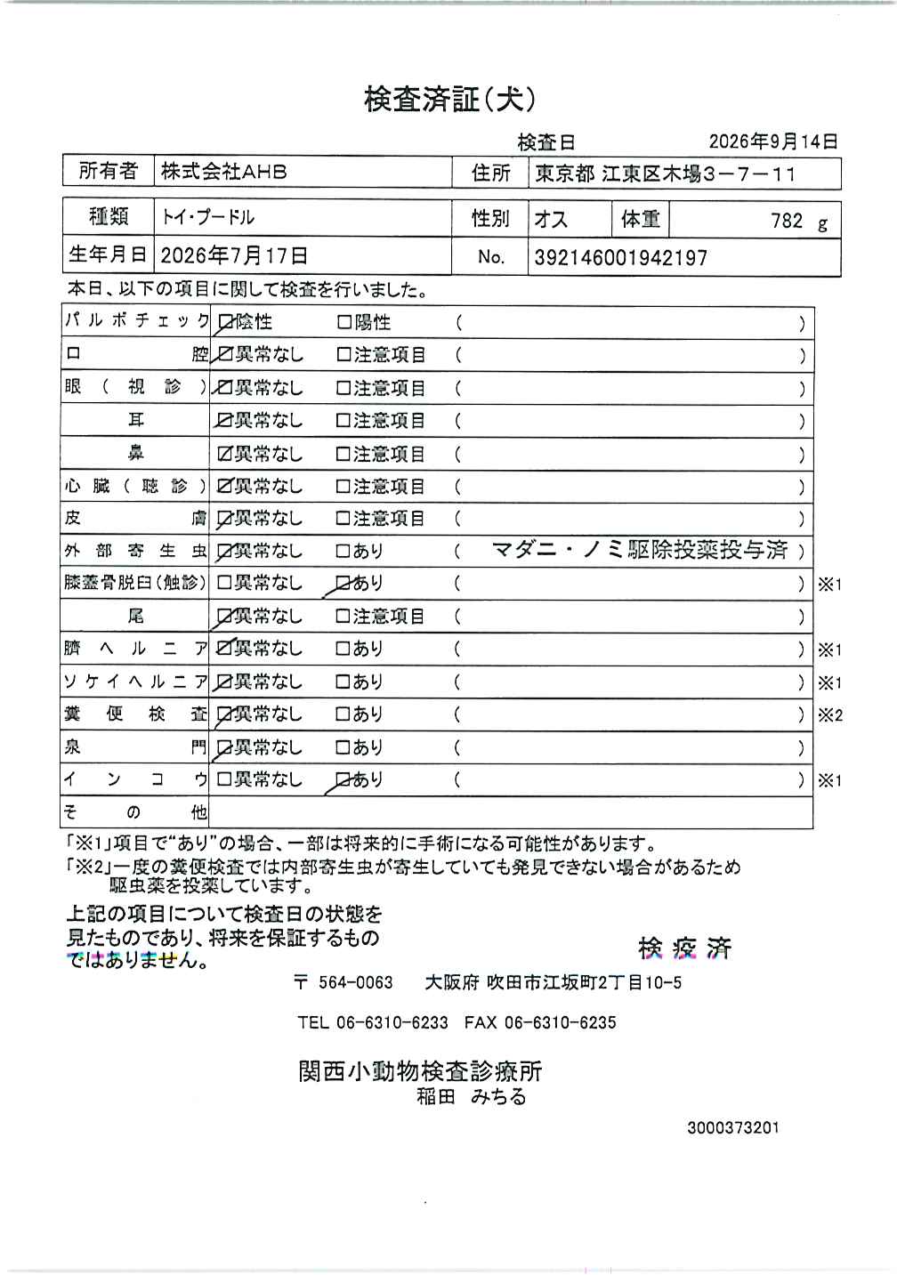 トイ・プードル