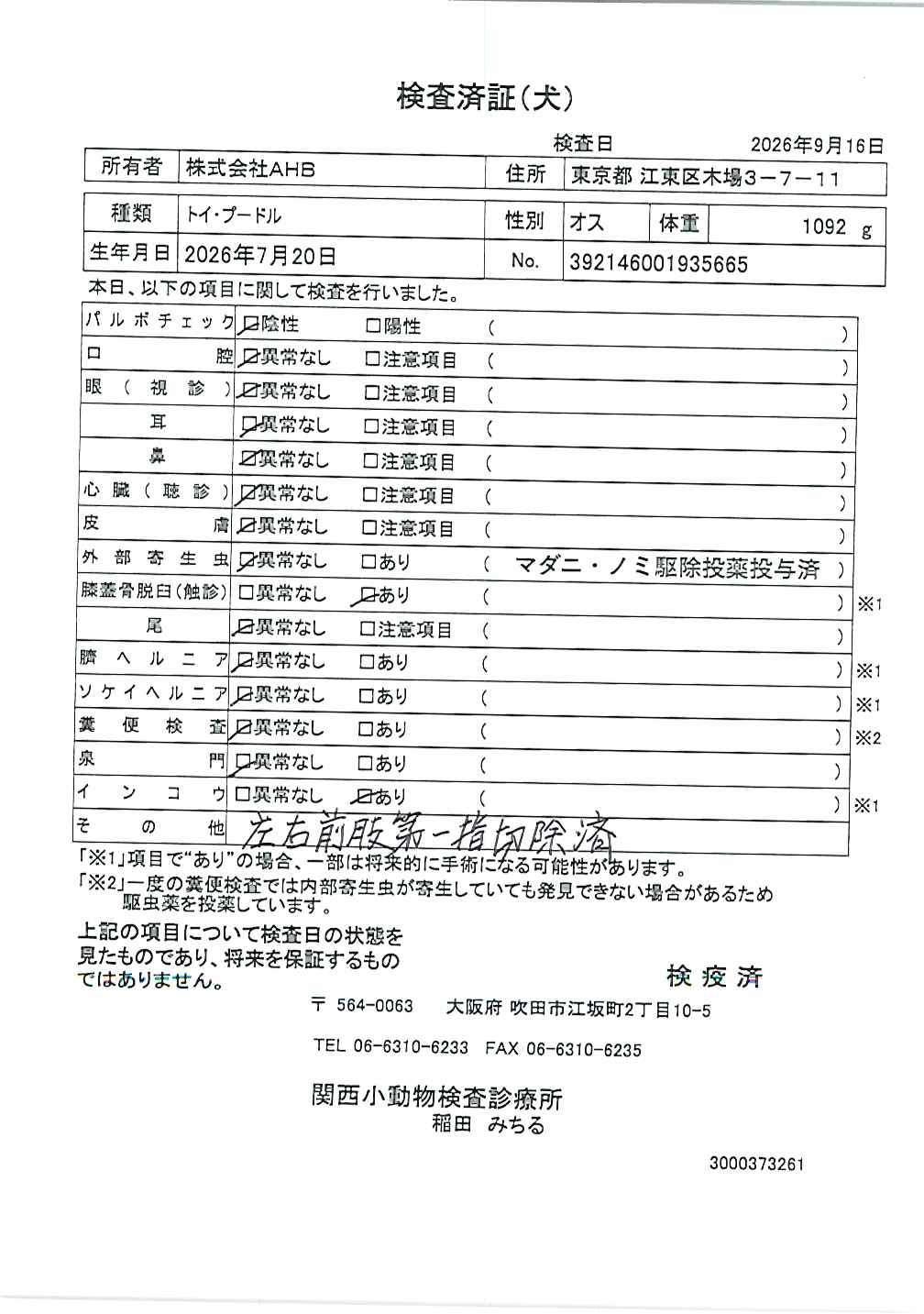 トイ・プードル