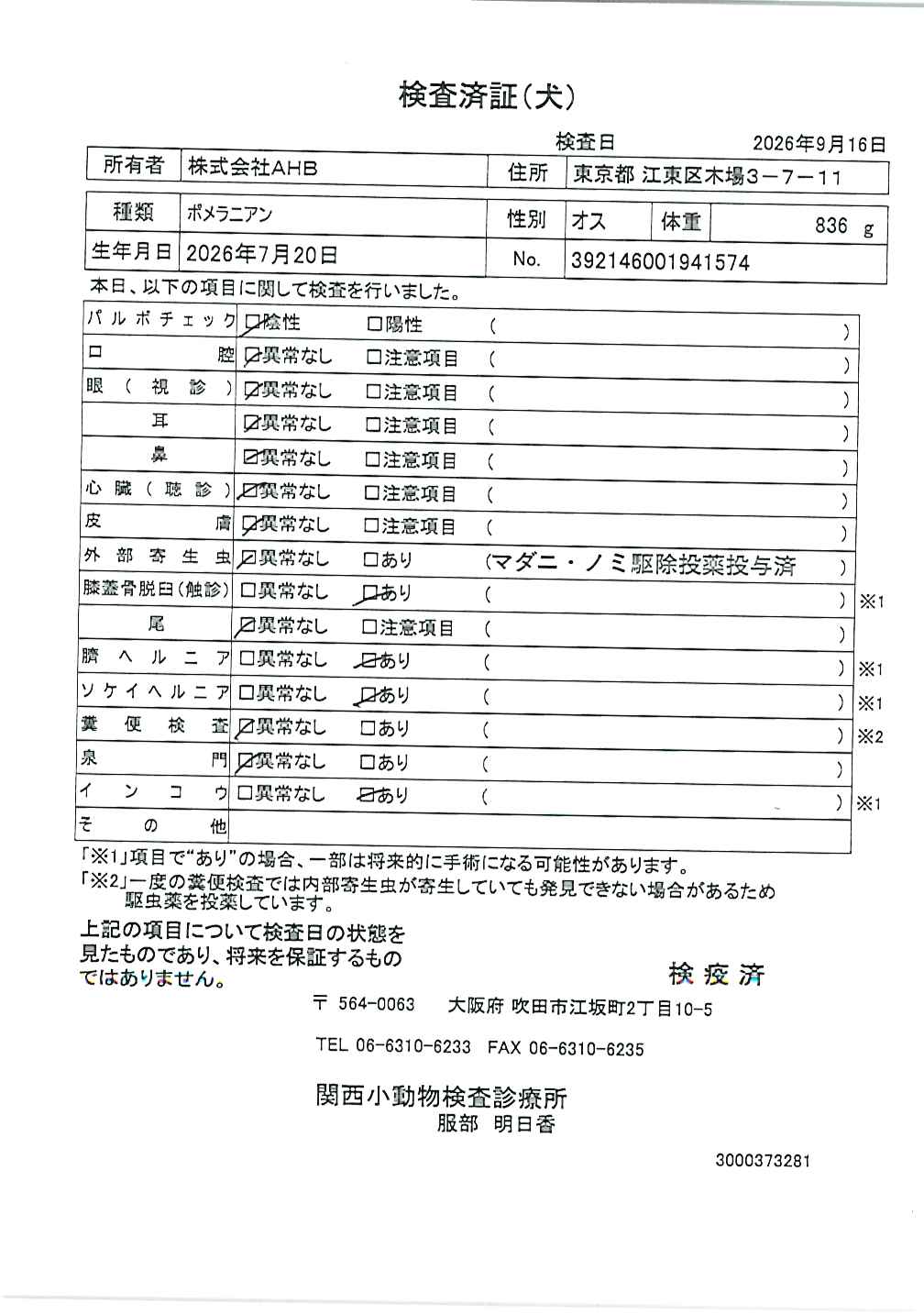 ポメラニアン
